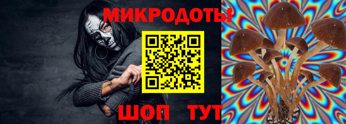 Черкесск  цена наркотик  Вход с VPN  Псилоцибиновые грибы Magic Shrooms 